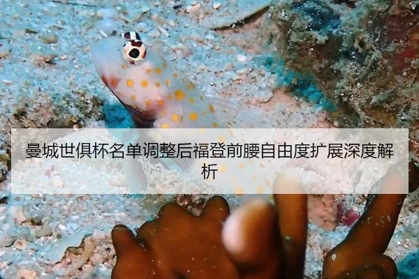 曼城世俱杯名单调整后福登前腰自由度扩展深度解析