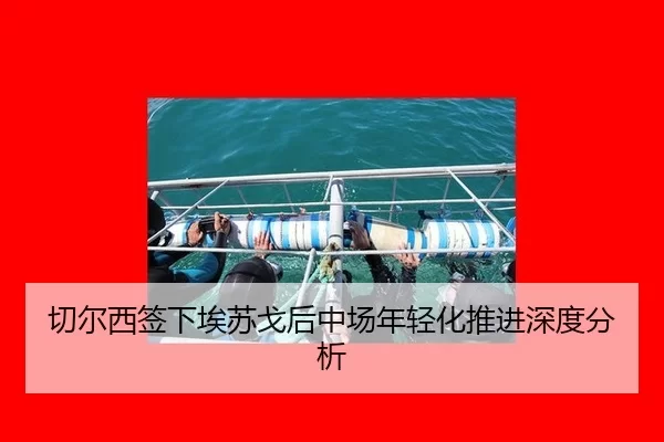 qie-er-xi-qian-xia-ai-su-ge-hou-zhong-chang-nian-qing-hua-tui-jin-shen-du-fen-xi-2-264.jpg